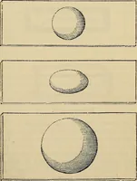 An illustration from The microscope and its revelations (1881)
