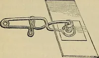 An illustration from The microscope and its revelations (1881)
