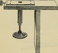 An illustration from The microscope and its revelations (1881)