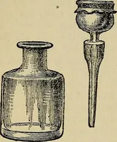 An illustration from The microscope and its revelations (1881)