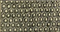 An illustration from The microscope and its revelations (1881)