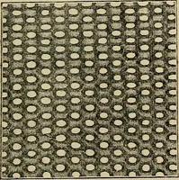 An illustration from The microscope and its revelations (1881)