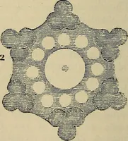 An illustration from The microscope and its revelations (1881)