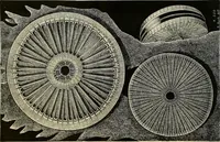 An illustration from The microscope and its revelations (1881)