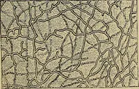 An illustration from The microscope and its revelations (1881)