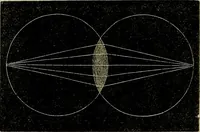 An illustration from The microscope and its revelations (1881)