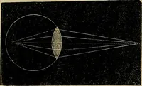 An illustration from The microscope and its revelations (1881)