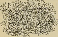 An illustration from The microscope and its revelations (1881)