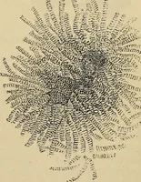 An illustration from The microscope and its revelations (1881)
