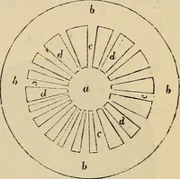 An illustration from The microscope and its revelations (1881)