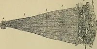 An illustration from The microscope and its revelations (1881)