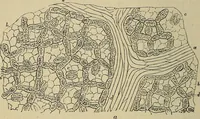 An illustration from The microscope and its revelations (1881)