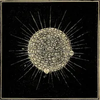 An illustration from The microscope and its revelations (1881)
