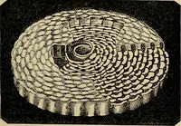 An illustration from The microscope and its revelations (1881)