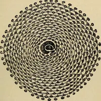 An illustration from The microscope and its revelations (1881)