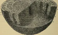 An illustration from The microscope and its revelations (1881)