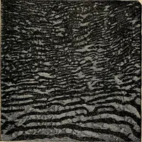 An illustration from The microscope and its revelations (1881)