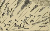 An illustration from The microscope and its revelations (1881)
