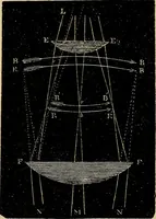 An illustration from The microscope and its revelations (1881)