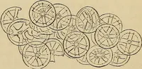 An illustration from The microscope and its revelations (1881)