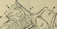 An illustration from The microscope and its revelations (1881)