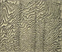 Picture 426 of 554 from The microscope and its revelations (1881), leaf 755