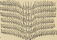 An illustration from The microscope and its revelations (1881)