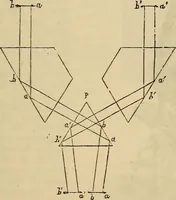 An illustration from The microscope and its revelations (1881)