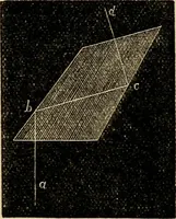 An illustration from The microscope and its revelations (1881)
