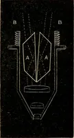 An illustration from The microscope and its revelations (1881)