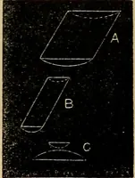 An illustration from The microscope and its revelations (1881)