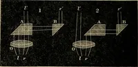 An illustration from The microscope and its revelations (1881)