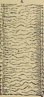 An illustration from The microscope and its revelations (1881)
