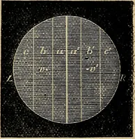 An illustration from The microscope and its revelations (1881)