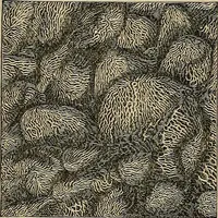 An illustration from The microscope and its revelations (1881)