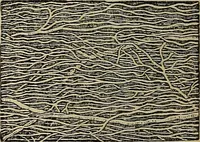 An illustration from The microscope and its revelations (1881)