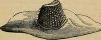 An illustration from The microscope and its revelations (1881)