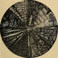 An illustration from The microscope and its revelations (1881)