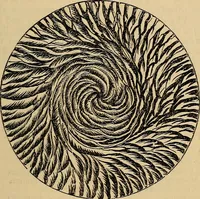An illustration from The microscope and its revelations (1881)