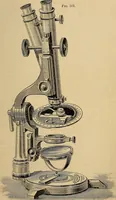 An illustration from The microscope and its revelations (1881)