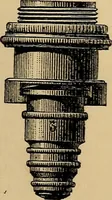 An illustration from The microscope and its revelations (1881)