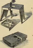 An illustration from The microscope and its revelations (1881)