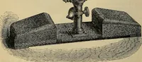 An illustration from The microscope and its revelations (1881)
