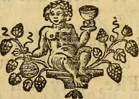 An illustration from The microscope made easy: or, I. The nature, uses and magnifying powers of the best kinds of microscopes ... II. An account of what surprizing discoveries have been already made by the microscope .. (1754)