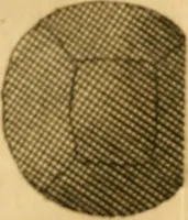 An illustration from The microscope made easy: or, I. The nature, uses and magnifying powers of the best kinds of microscopes ... II. An account of what surprizing discoveries have been already made by the microscope .. (1754)