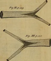Picture 25 of 33 from The microscope made easy: or, I. The nature, uses and magnifying powers of the best kinds of microscopes ... II. An account of what surprizing discoveries have been already made by the microscope .. (1754), leaf 157