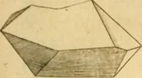An illustration from The microscope made easy: or, I. The nature, uses and magnifying powers of the best kinds of microscopes ... II. An account of what surprizing discoveries have been already made by the microscope .. (1754)