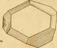 An illustration from The microscope made easy: or, I. The nature, uses and magnifying powers of the best kinds of microscopes ... II. An account of what surprizing discoveries have been already made by the microscope .. (1754)