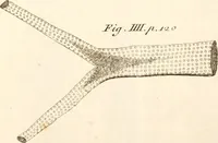 Picture 19 of 33 from The microscope made easy : or, I. The nature, uses, and magnifying powers of the best kinds of microscopes described, calculated, and explained ... II. An account of what surprizing discoveries have been already made by the microscope: with useful reflections on them .. (1742), leaf 148