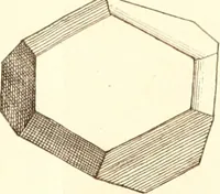 An illustration from The microscope made easy : or, I. The nature, uses, and magnifying powers of the best kinds of microscopes described, calculated, and explained ... II. An account of what surprizing discoveries have been already made by the microscope: with useful reflections on them .. (1742)